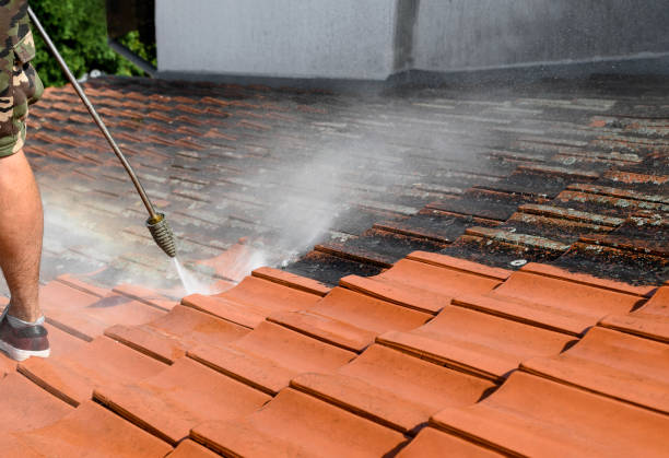 Best Concrete Pressure Washing  in Avondale, PA